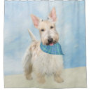 Recherche de dog rideaux douche Scottie