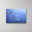 Search for schools canvas prints Blue