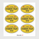 Search for flight cases Aviator