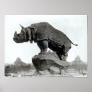 Recherche de rhinocéros noir posters Animal