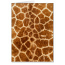 Recherche de série de girafe Faune