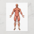 Recherche de tendon cartes postales Force