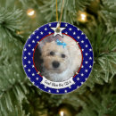 Search for usa ornaments Keepsake