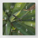 Search for aloe vera plant art Green