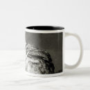 Search for lying drinkware Down
