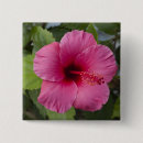 Recherche de hawaï badges Honolulu