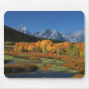 Recherche de les états unis tapis souris Wyoming
