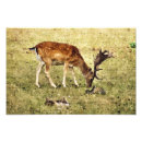 Search for fallow posters Nature