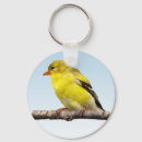 Search for finch keychains Avian