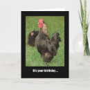 Search for strut cards Rooster