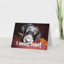 Recherche de doberman vœux cartes Animal