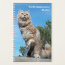Search for kitty office supplies Animal lover