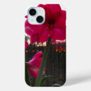 Recherche de amaryllis électronique Rouge