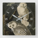 Search for owl poster art Picture