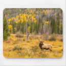 Recherche de cathy tapis souris Wapiti