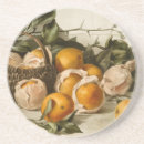 Search for food coasters Fruit