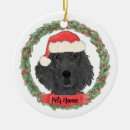 Search for flat coated retriever ornaments Black