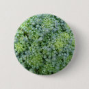 Search for crops buttons Food