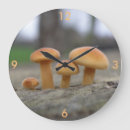 Search for tiny clocks Nature