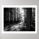 Search for forest walk posters Nature