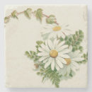 Search for daisy coasters Chic