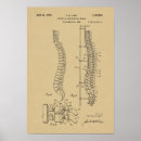 Search for spine art Chiropractor
