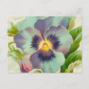 Search for vintage pansies postcards Blue