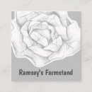 Search for cabbage business cards Vegetable