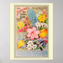 Search for catalogue art Flower