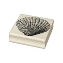 Search for clam shell Antique