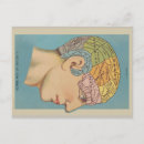 Search for phrenology postcards Human