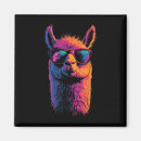 Search for llama magnets Best