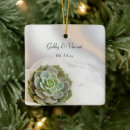 Search for succulent ornaments Garden