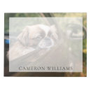 Recherche de puberté Animaux domestiques