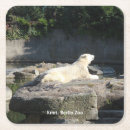 Search for zoo coasters Bear