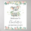 Search for koala baby shower Eucalyptus leaves