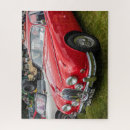 Search for jaguar puzzles Classic