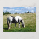 Recherche de black and white photography cartes postales Pour tous