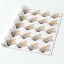 Search for yorkie wrapping paper Animal
