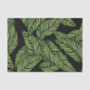 Search for leaf plant tissue paper Summer