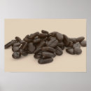 Search for arabica posters Brown