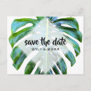Recherche de végétaliens invitations Verdure