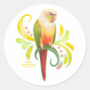 Search for cheeked stickers Green cheeked conure
