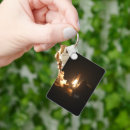 Search for orbital keychains Spacecraft