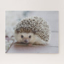 Recherche de hedgehog puzzles Animal