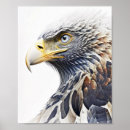 Search for eagle drawing art Nature