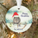 Search for guinea pig christmas decor Festive