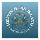 Recherche de crabes posters Crabe bleu