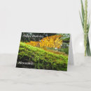 Search for lush photography Forest