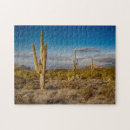 Recherche de cactus de saguaro puzzles Coucher du soleil